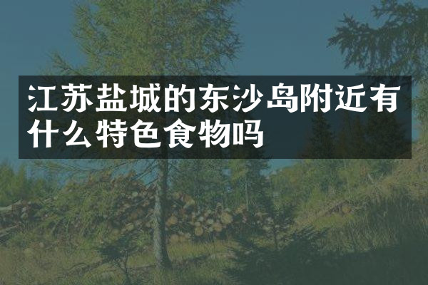 江苏盐城的东沙岛附近有什么特色食物吗