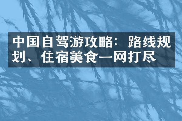 中国自驾游攻略：路线规划、住宿美食一网打尽