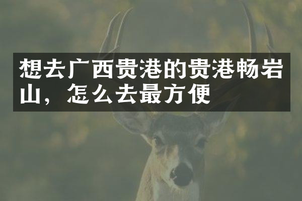 想去广西贵港的贵港畅岩山，怎么去最方便