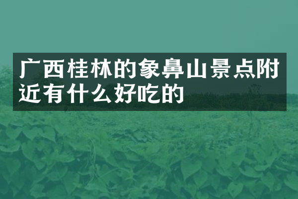 广西桂林的象鼻山景点附近有什么好吃的