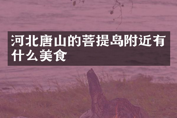 河北唐山的菩提岛附近有什么美食