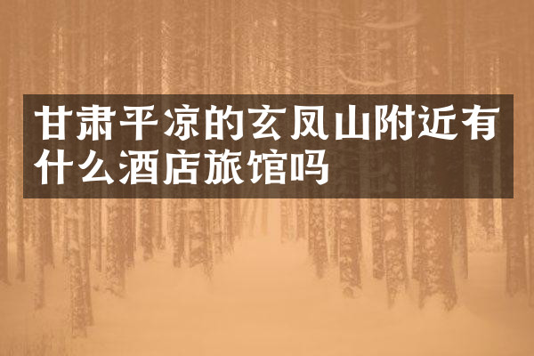 甘肃平凉的玄凤山附近有什么酒店旅馆吗