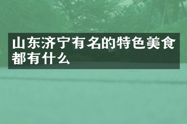 山东济宁有名的特色美食都有什么