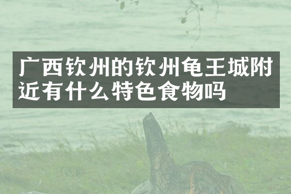 广西钦州的钦州龟王城附近有什么特色食物吗