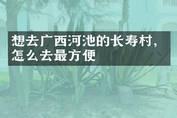 想去广西河池的长寿村，怎么去最方便