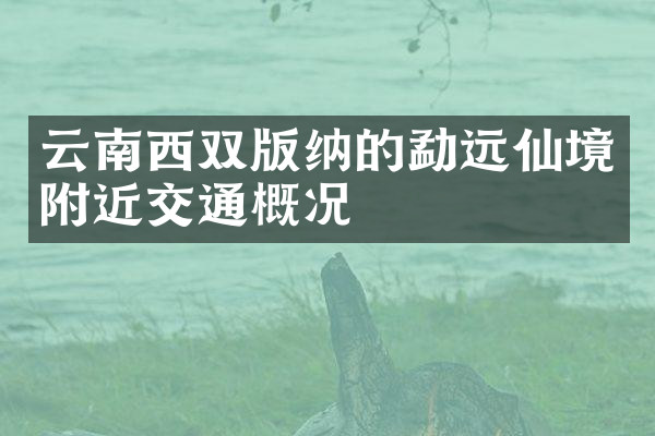 云南西双版纳的勐远仙境附近交通概况