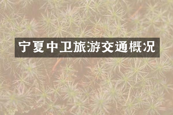 宁夏中卫旅游交通概况