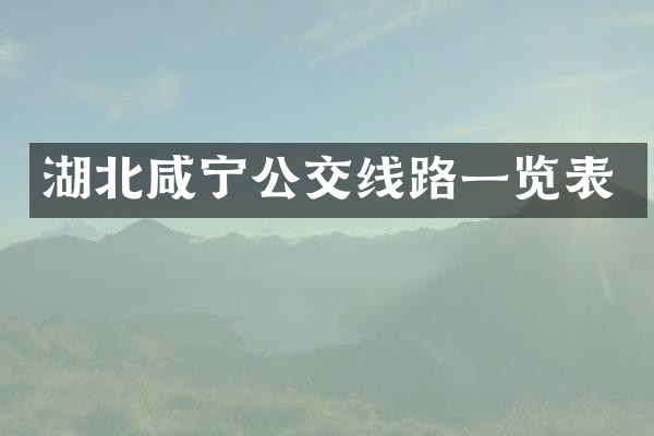 湖北咸宁公交线路一览表