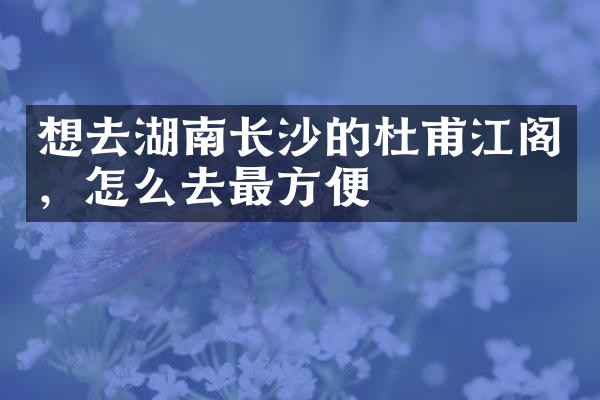 想去湖南长沙的杜甫江阁，怎么去最方便