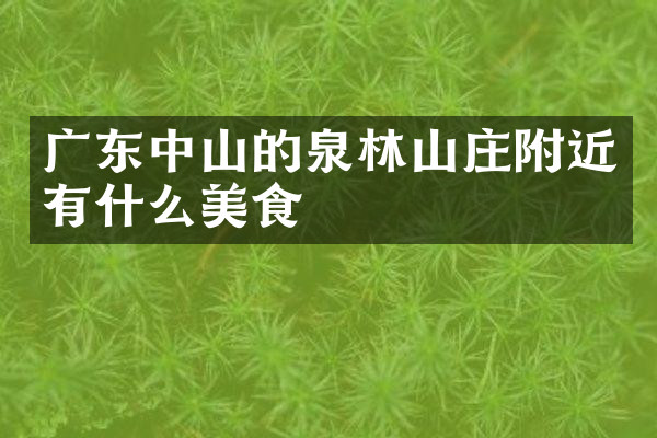 广东中山的泉林山庄附近有什么美食