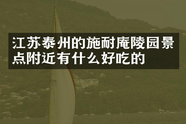 江苏泰州的施耐庵陵园景点附近有什么好吃的