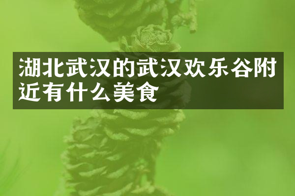 湖北武汉的武汉欢乐谷附近有什么美食