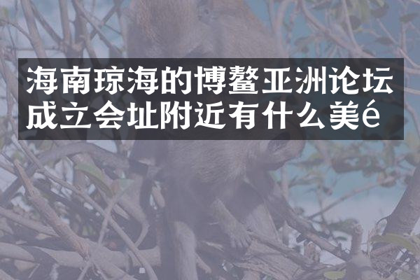 海南琼海的博鳌亚洲论坛成立会址附近有什么美食