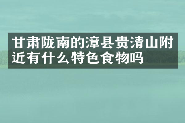 甘肃陇南的漳县贵清山附近有什么特色食物吗