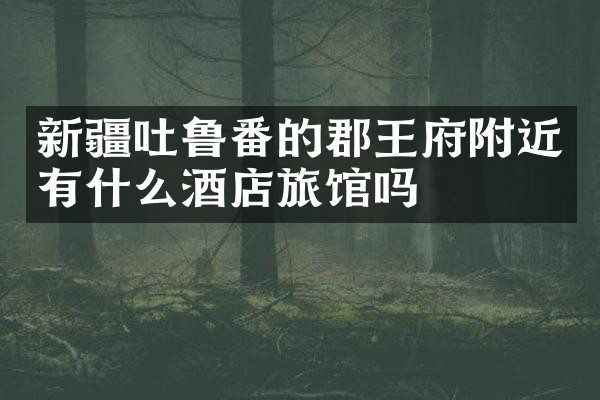 新疆吐鲁番的郡王府附近有什么酒店旅馆吗