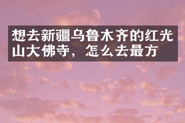 想去新疆乌鲁木齐的红光山大佛寺，怎么去最方便