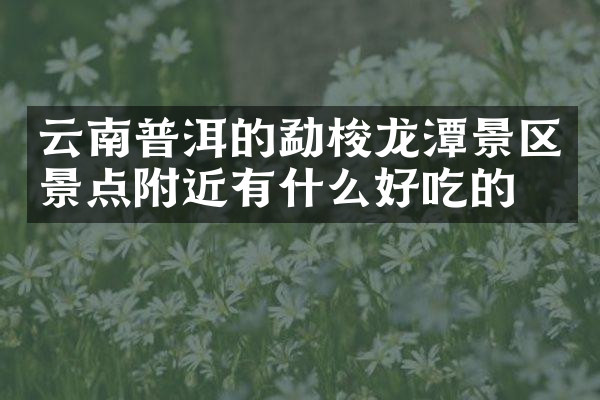 云南普洱的勐梭龙潭景区景点附近有什么好吃的