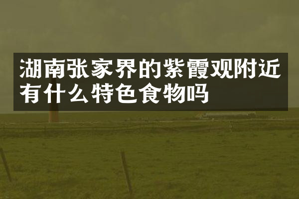 湖南张家界的紫霞观附近有什么特色食物吗