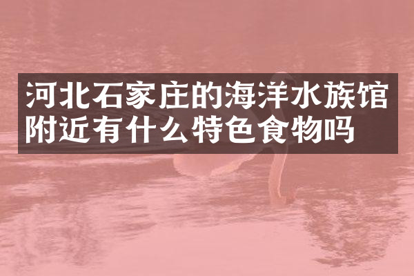 河北石家庄的海洋水族馆附近有什么特色食物吗