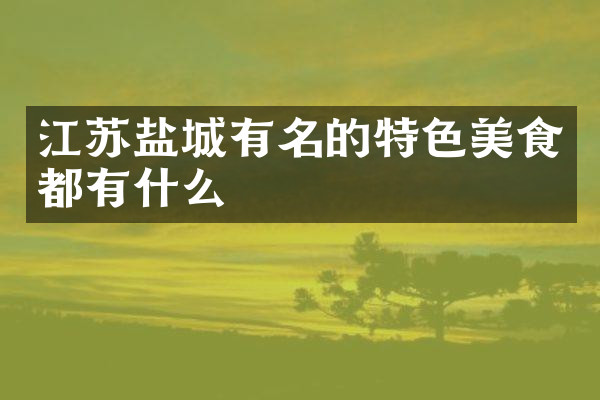江苏盐城有名的特色美食都有什么