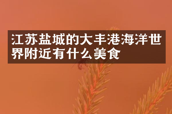 江苏盐城的大丰港海洋世界附近有什么美食