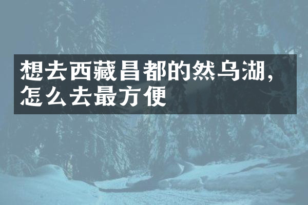 想去西藏昌都的然乌湖，怎么去最方便