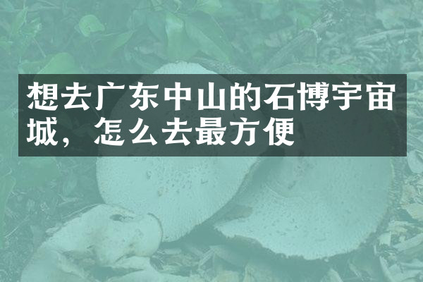 想去广东中山的石博宇宙城，怎么去最方便