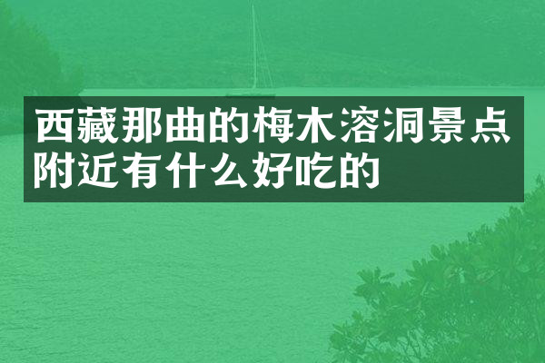 西藏那曲的梅木溶洞景点附近有什么好吃的