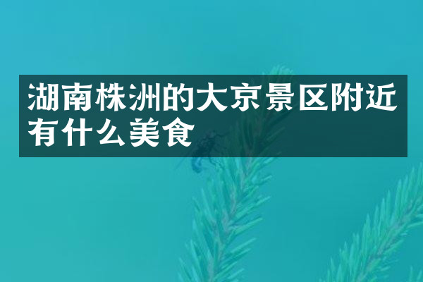 湖南株洲的大京景区附近有什么美食