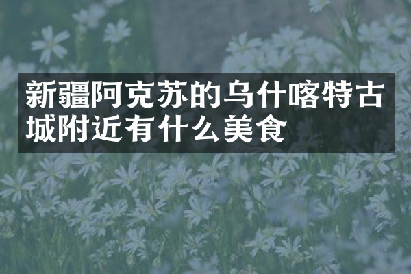 新疆阿克苏的乌什喀特古城附近有什么美食