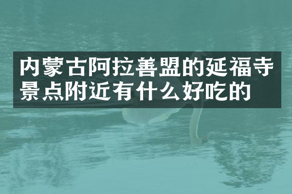 内蒙古阿拉善盟的延福寺景点附近有什么好吃的