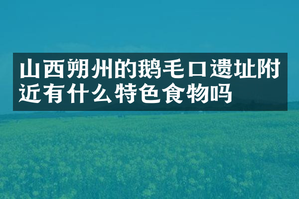 山西朔州的鹅毛口遗址附近有什么特色食物吗