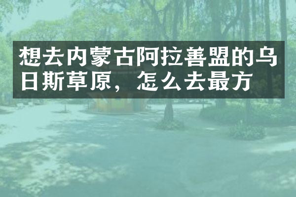 想去内蒙古阿拉善盟的乌日斯草原，怎么去最方便