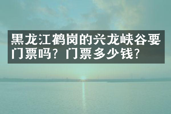 黑龙江鹤岗的兴龙峡谷要门票吗？门票多少钱？