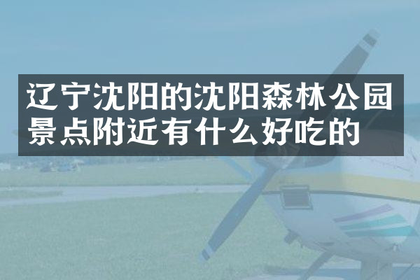 辽宁沈阳的沈阳森林公园景点附近有什么好吃的