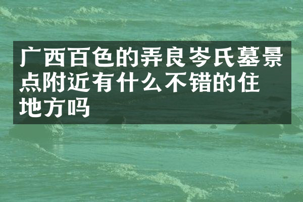 广西百色的弄良岑氏墓景点附近有什么不错的住的地方吗