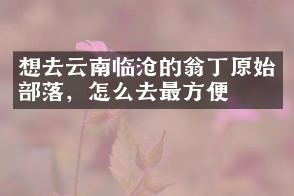 想去云南临沧的翁丁原始部落，怎么去最方便