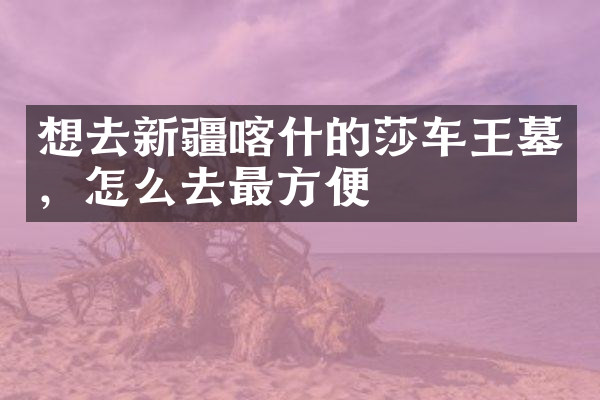 想去新疆喀什的莎车王墓，怎么去最方便