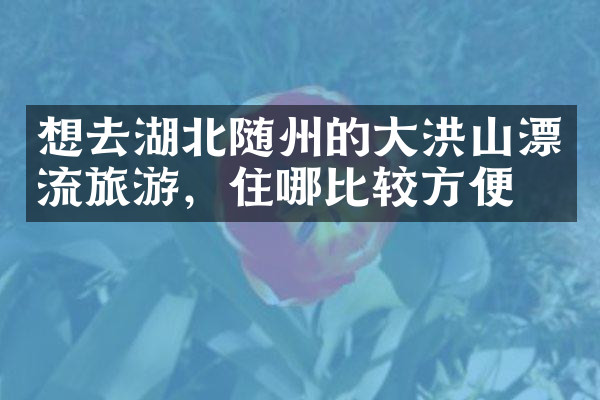 想去湖北随州的大洪山漂流旅游，住哪比较方便