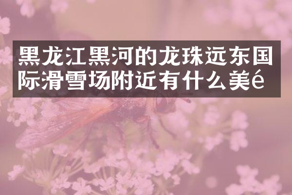 黑龙江黑河的龙珠远东国际滑雪场附近有什么美食