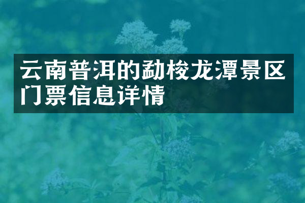 云南普洱的勐梭龙潭景区门票信息详情