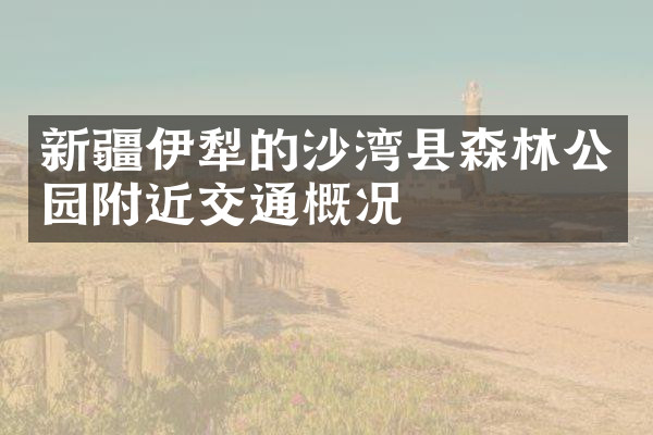新疆伊犁的沙湾县森林公园附近交通概况