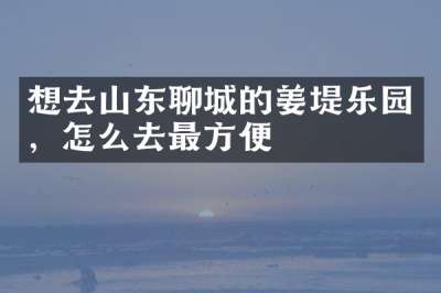 想去山东聊城的姜堤乐园，怎么去最方便