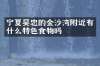 宁夏吴忠的金沙湾附近有什么特色食物吗