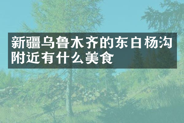 新疆乌鲁木齐的东白杨沟附近有什么美食