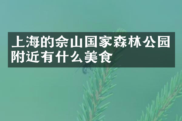 上海的佘山国家森林公园附近有什么美食