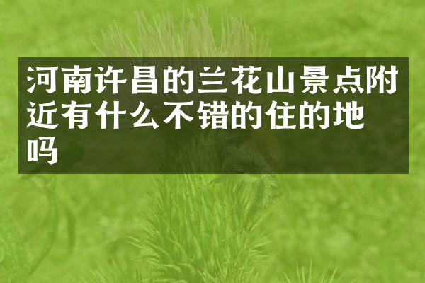河南许昌的兰花山景点附近有什么不错的住的地方吗
