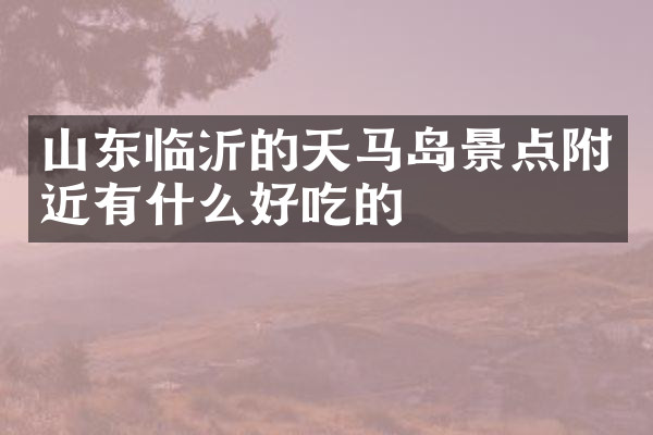 山东临沂的天马岛景点附近有什么好吃的
