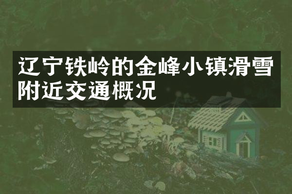 辽宁铁岭的金峰小镇滑雪附近交通概况