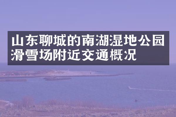 山东聊城的南湖湿地公园滑雪场附近交通概况